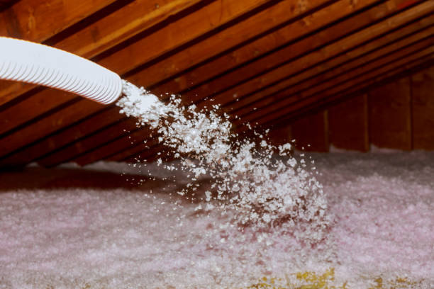 Best Specialized Insulation Services in Kershaw, SC