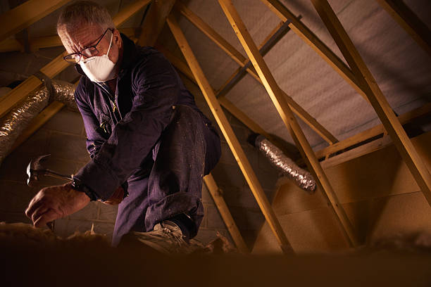 Best Insulation for Specific Applications in Kershaw, SC